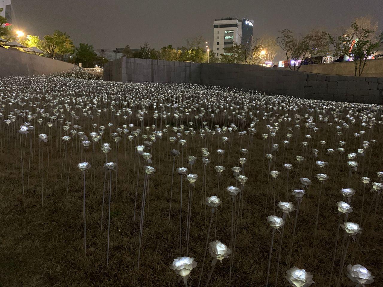 2025 Dongdaemun Night Market Visit! - Enjoy all the attractions from lively DDP night market!